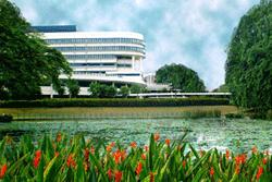 KK Women's And Children's Hospital — photo