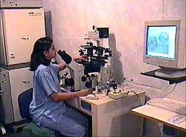 Malpani Infertility Clinic