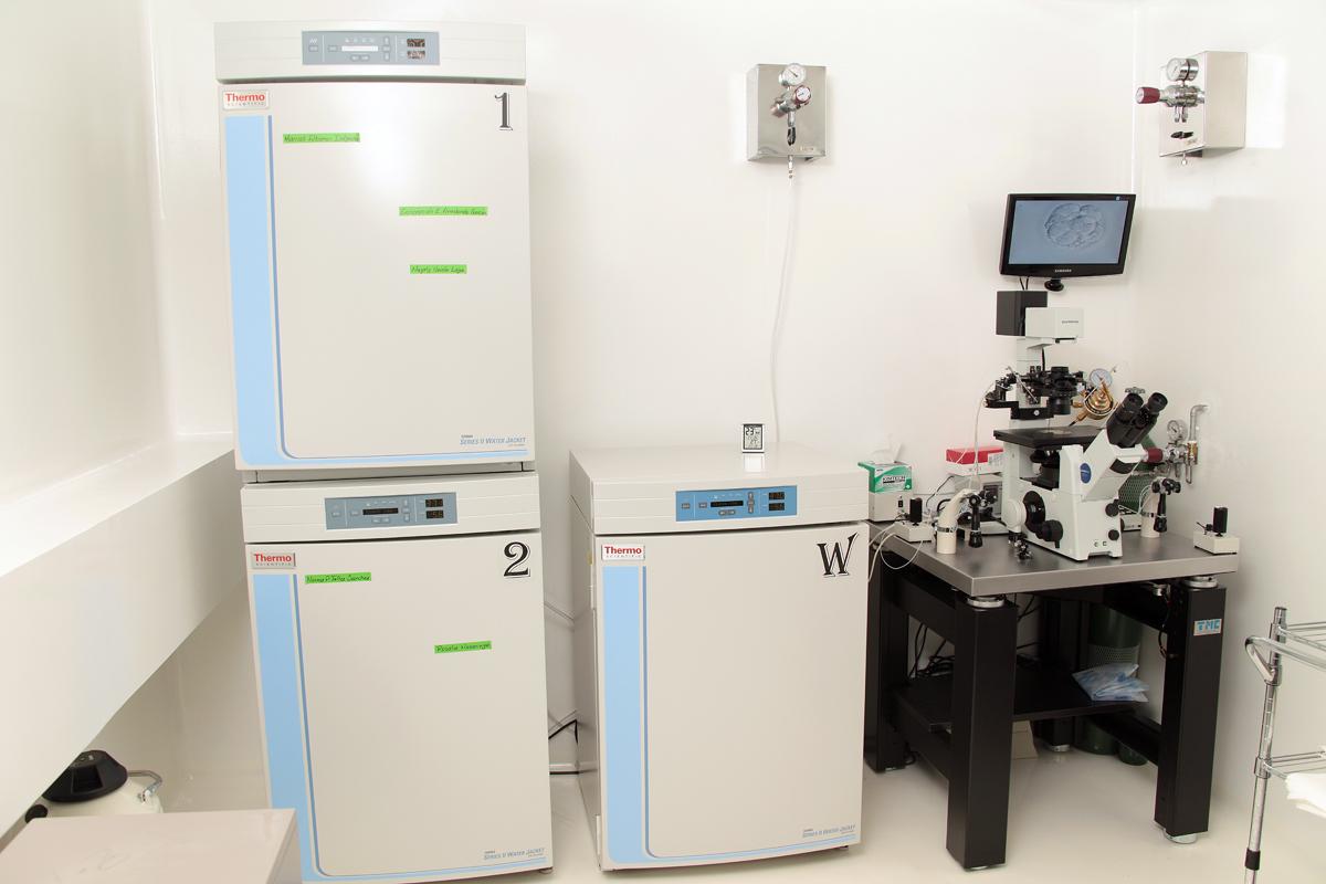 Laboratory Area - INSEMER