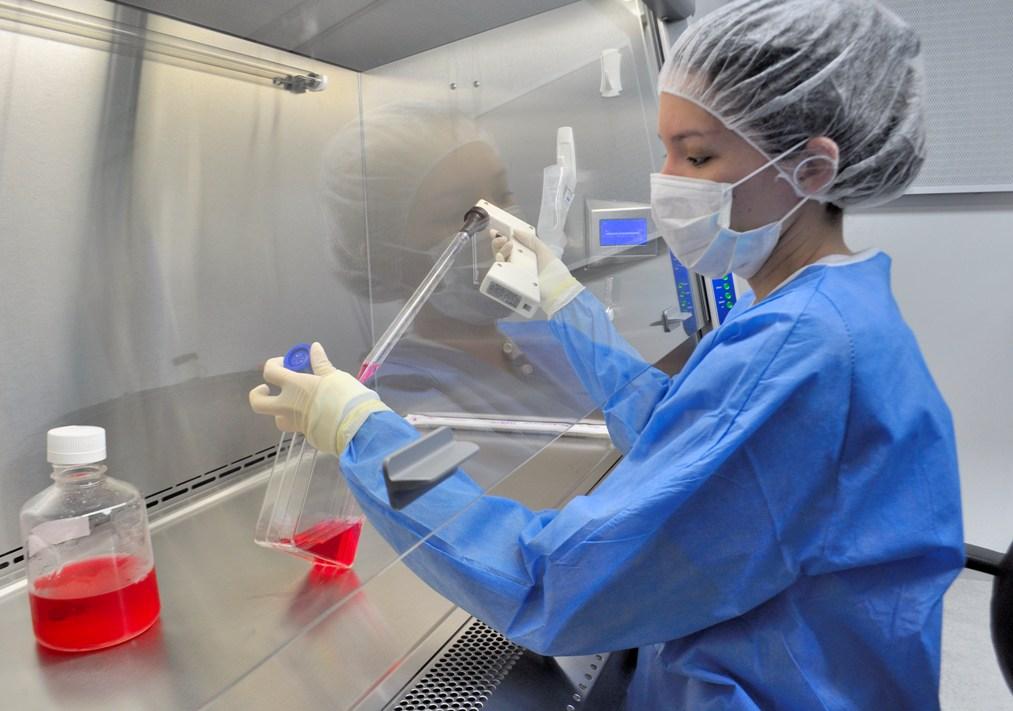 The Stem Cell Institute