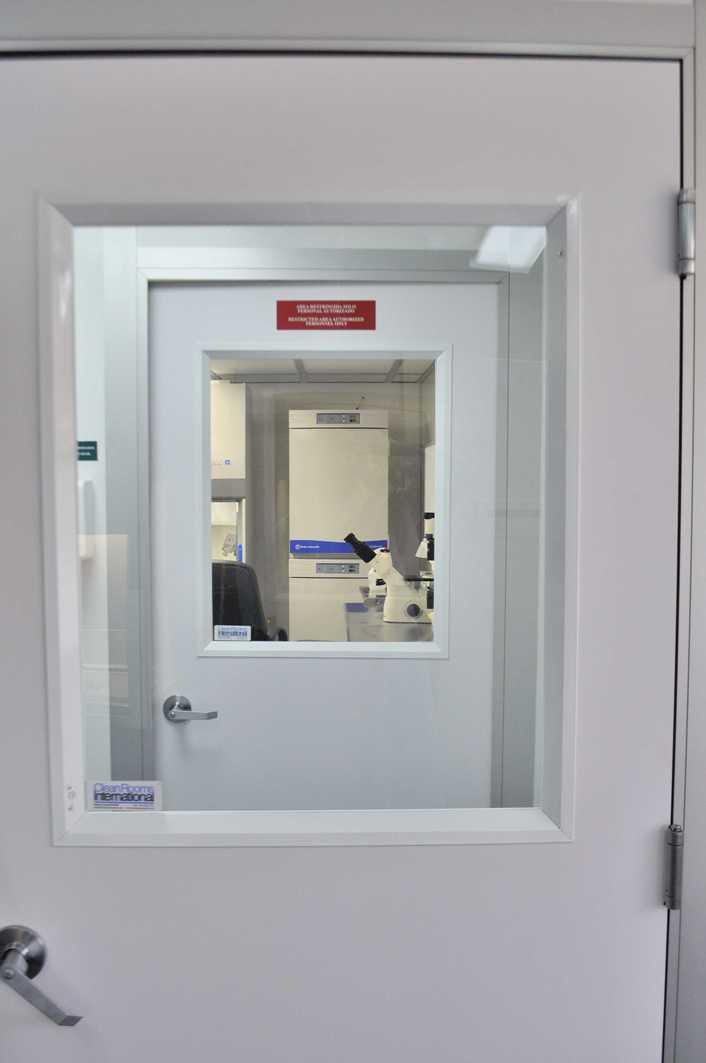 The Stem Cell Institute