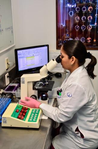 Clinical Laboratory