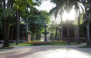 Hospital Universitario San Vicente — photo