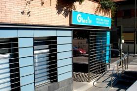 Ginefiv — photo
